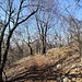 verso il Monte Pravello