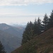 Blick zum Alpstein