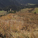 Tiefblick ins Tal des Bregenzerwalds ...
