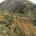 Am Häfnerjoch