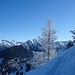 ...durch zunehmend offenes Gelände mit Blick in die Schladminger Tauern...