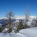 Rückblick zum Dachstein...