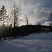 Baunalm