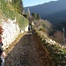 Arrivati  a Lemna, il sentiero piega di 180° e punta verso il fondo della valle (Valle di Gaggia), dove saremo in ombra, per farci passare sul versante opposto e ritornare quindi a Molina.