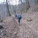 Verso la fine della salita si continua sempre nel bosco su comodo sentiero.