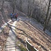 Tornati alla vicina Bocchetta di Lemna, iniziamo a seguire un ripidissima mulattiera, che ci accompagnerà sempre nel bosco fino all’omonimo borgo.