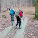 La mulattiera entra nel bosco ed assume pendenze severe.