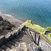 Unterwegs auf dem Ladder Trail - Mit etlichen Kurven und Wendungen zieht die Treppe ("Ladder", "Leiter") durch den sehr steilen Hang.