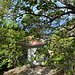 Unterwegs auf dem Ladder Trail - Nach einer Weile wird ein kleines, verfallendes Gebäude passiert (ehemaliges Zollhäuschen).