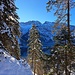 Durchblick zum Plansee. 