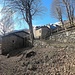 Luina