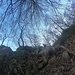Porta Livera