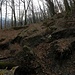 Valle delle Vacche