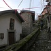 Gallio