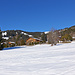 Oberhalb Schönried hat es am Sonnenhang viele stattliche Villen