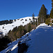 Ratrac gepflegter Winterwanderweg