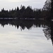 Spiegelungen