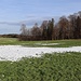 über die Wiese