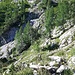 Der Weg ist teilweise etwas undeutlich