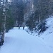 ganz unten haben wir es noch mit Ski versucht, das war aber bald zu Ende...