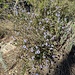 Le printemps s'annonce