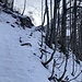 Teilweise steiler Aufstieg im Wald