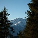 Durchblick zur Alpspitze