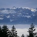 Altmann
