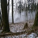 Wieder hinunter in den kalten Nebel
