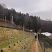 Panoramaweg