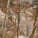 Wasserfall hinter den Bäumchen