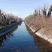 Oggi partenza da casa; qui sono sul ponte del mio paesello e ora inizierò a risalire il Canale Villoresi lungo la pista ciclabile.Spesso dopopranzo, con mia moglie, camminiamo lungo il Villoresi dove, grazie al fatto che quest’anno l’acqua permane anche se è abbastanza bassa (di solito in questi mesi il canale andava in asciutta), si è insediata una considerevole fauna di volatili, costituita principalmente da gallinelle d’acqua, germani e alcuni tuffetti, uccelli più piccoli delle anatre che è bello osservare perché sono molto schivi e, quando vengono avvistati, si immergono sott’acqua percorrendo anche una ventina di metri prima di riemergere.