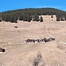 <b>Soliva in una foto del 24 febbraio 2020.</b>