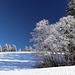 sonniger Aufstieg