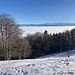 auf der Buechmatt - mit heute letztem Alpenblick