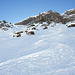 Quasi First Line (im Pulverschnee) :-P