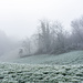 Auch im Nebel kann man mitunter etwas von der Form des Terrains erkennen. Es handelt sich um eiszeitlich aufgewehte Hügel aus Löß, hier eine Lee-Seite. Die Westwinde habe den Löß an den Fuß des Schwarzwalds verfrachtet, er enstammte den sandigen Ufern des damals stark mäandernden Rheins. 