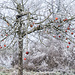 Passend zum Tourendatum eine Art Weihnachtsbaum ;-)