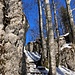 ... schliesslich auf der malerischen Treppe zum Grat