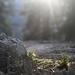 .."tobe" ich mich gründlich aus - Makrostudie