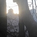 Ich tauche gleich in die Schatten ...