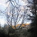 Im Wald wirds schnell zapfig
