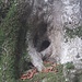 Mystisches am Wegesrand 