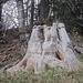 Nanu? (leicht erschrocken - wie unschwer dem Gesichtsausdruck zu entnehmen)<br />"ähm...hallo auch"<br />Hey, Nyn - du Oller! - was treibst denn noch so spät hie?<br />"lauf abi"<br />Jo, dalegsdinieda... - wie wars Türle?<br />"sauber, sehr schön"<br />Freilich - em Wald (Bregenzerwald) hammas Älles dees gfallt<br />"Stimmt, deshalb bin ich auch oft hier :D"<br />I a - machs guad no<br />"du au - merci"<br /><br /><br /><br />