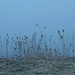 Ruhe und Stille