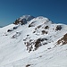 le Colombine