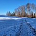 schneebedeckter Wanderweg