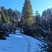 in schattigen Lagen liegt immer noch etwas Schnee