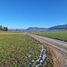 Sicht nach Bern. Wenn man genau hinsieht liegt die Bundestadt noch unter dem Nebel