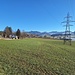 Mengestorf